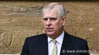Police feared Andrew Mountbatten-Windsor would try to block searches at his homes