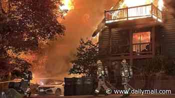 Hero dog saved owners' lives amid horror house fire in Portland... before perishing in the blaze itself