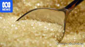 Global sugar prices rally amid key producer Brazil's presidential election