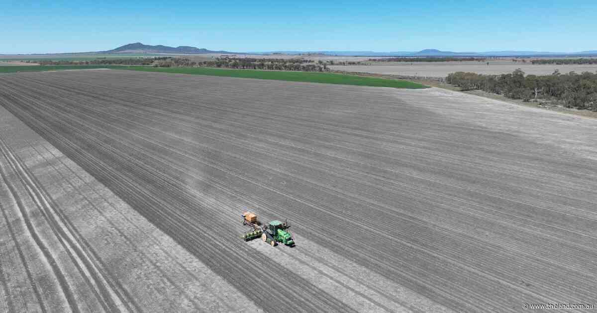 Substantial Liverpool Plains farming enterprise hits the market | Video