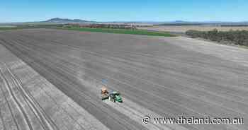 Substantial Liverpool Plains farming enterprise hits the market | Video