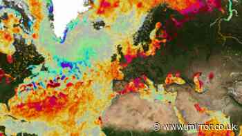 El Nino weather forecast with 'near-100% chance' after link to snow hitting UK