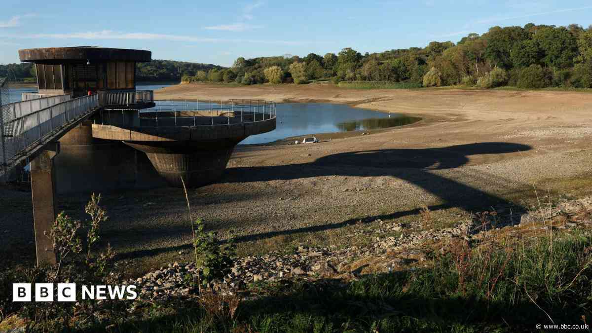 Severe drought declared in parts of East and West Sussex