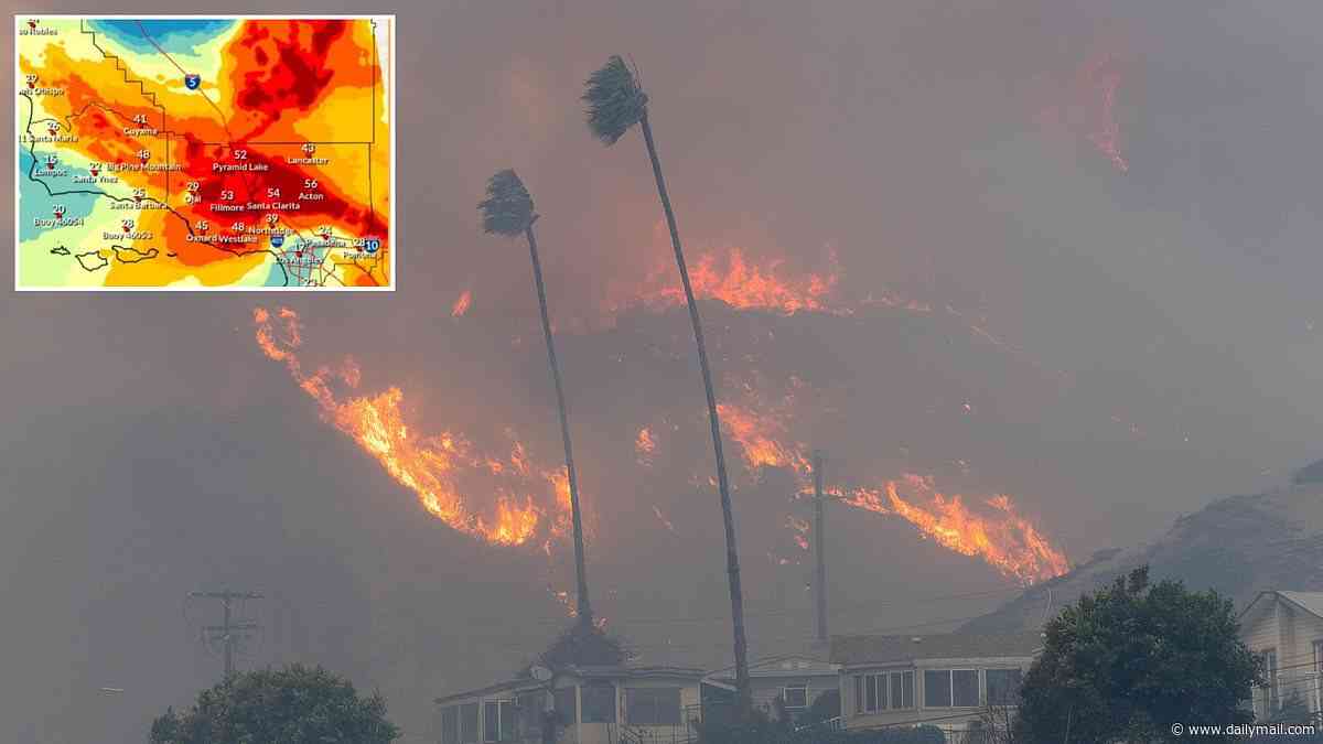Blackout warnings as furious 'devil winds' up to 80mph target millions in California