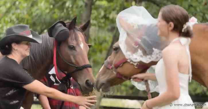 Horses tie the knot at special wedding on Georgia farm: "They just really fell in love"
