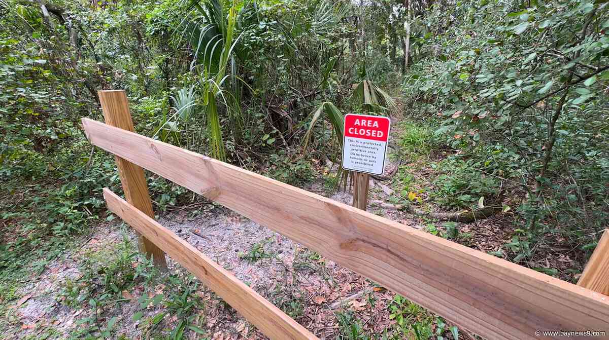 2024 hurricane damage keeps Hillsborough River State Park trails closed