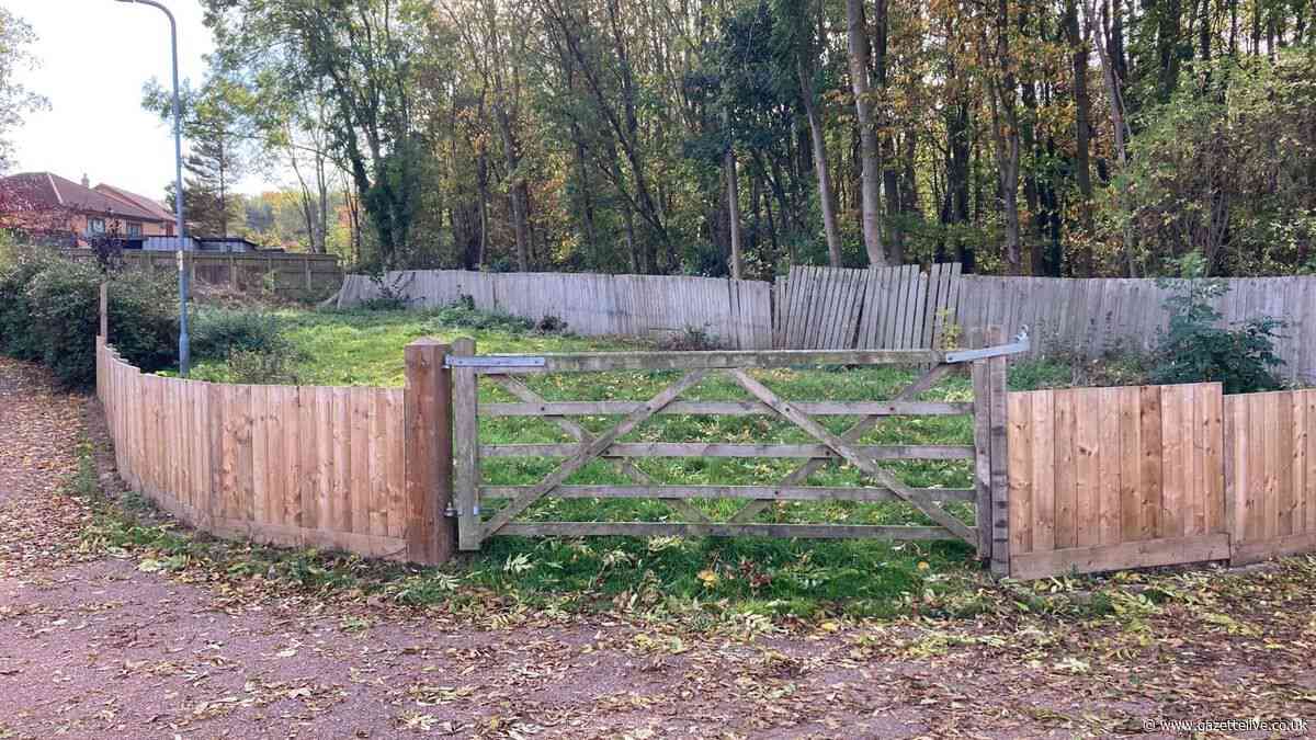 House plan previously refused by officers given the green light by councillors