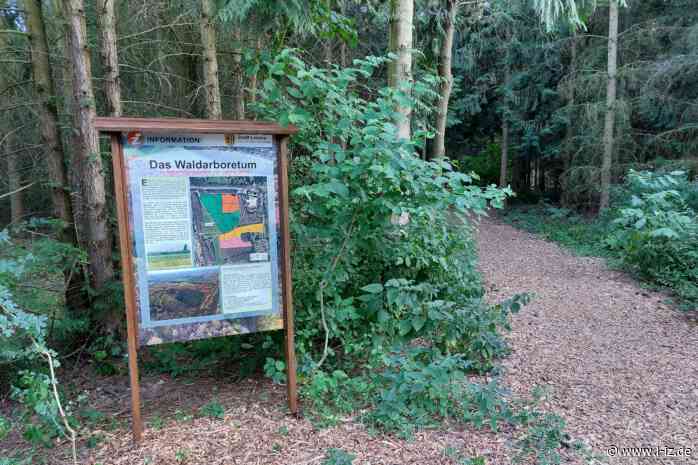 Für neue exotische Bäume: Pflegearbeiten im Waldarboretum Lößnig-Dölitz starten