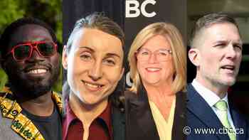 Hamilton mayor, council candidates decry white nationalist group targeting Ward 14 candidate