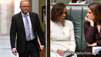 Despairing Team Albo's morale crisis. As 'people lose faith', Labor insiders put forward a tempting suggestion: get rid of Jim Chalmers: PETER VAN ONSELEN