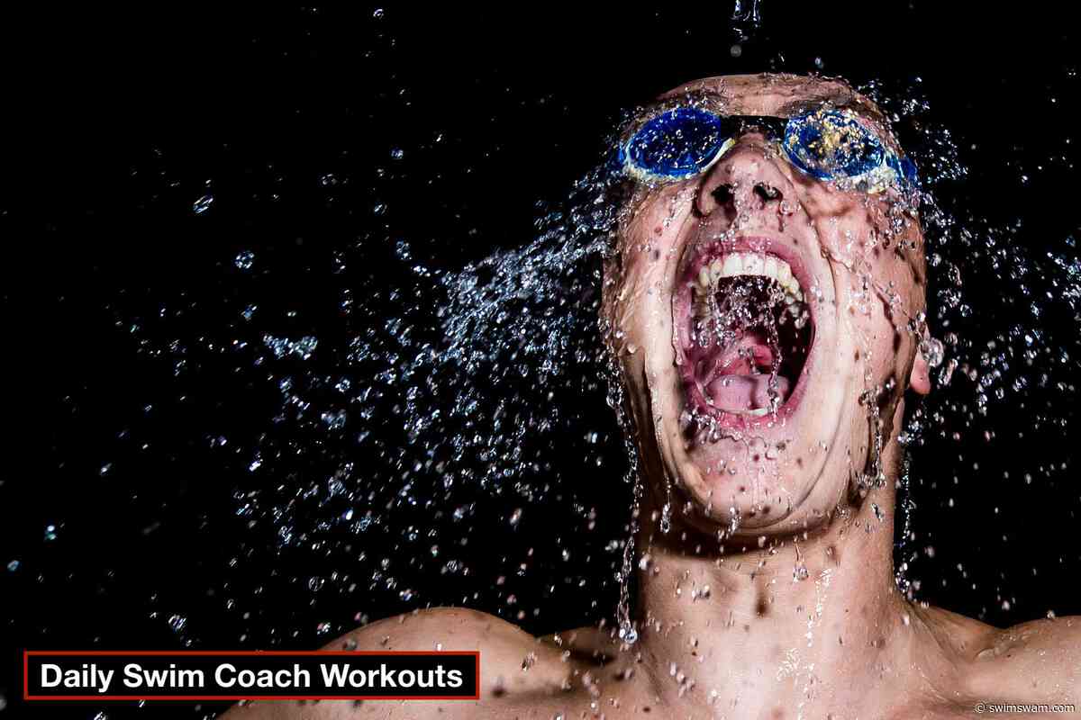 Daily Swim Coach Workout #1133