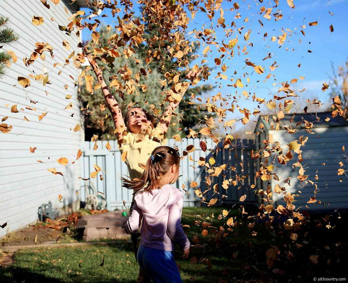 Seasonal Yard Tasks Send Wyomingites To Emergency Rooms Each Year