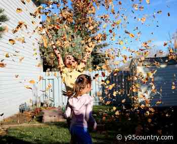 Seasonal Yard Tasks Send Wyomingites To Emergency Rooms Each Year