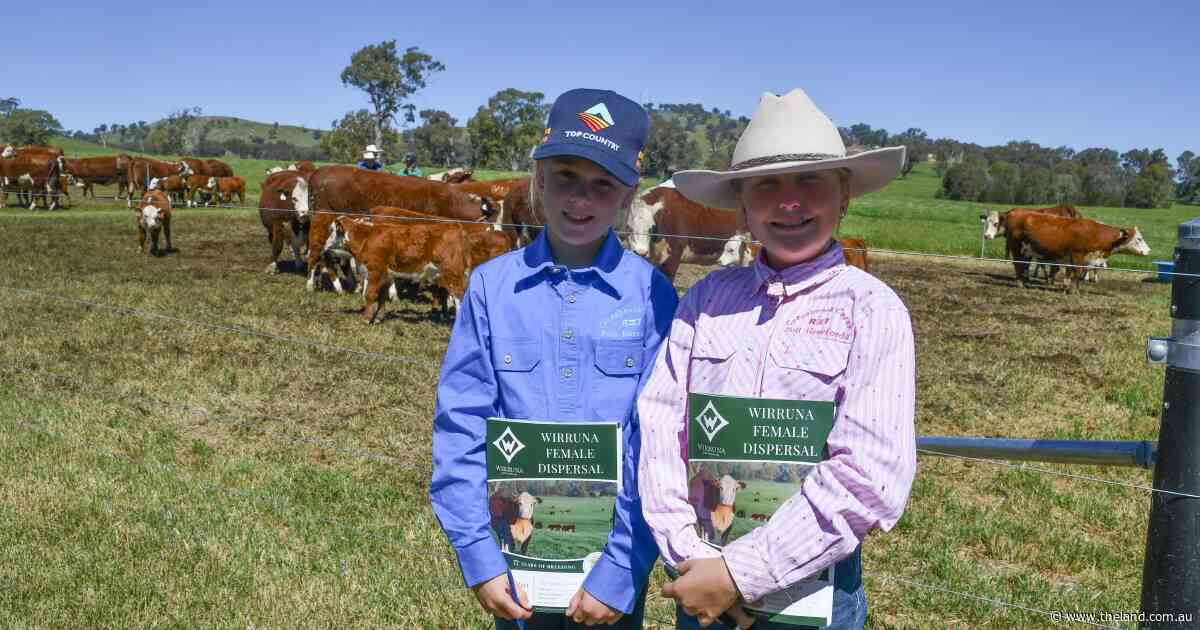 Meet the next-gen stud breeders who more than doubled their breeding herd at one sale