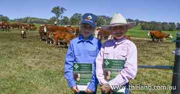 Meet the next-gen stud breeders who more than doubled their breeding herd at one sale