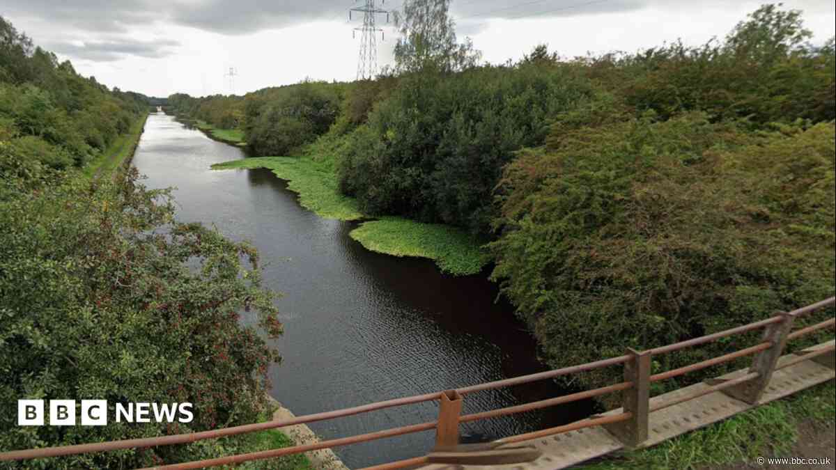 Homes set to go ahead despite environmental fears
