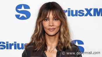 Halle Berry blames her ex Olivier Martinez for 13-year-old son's escalating 'behavioral issues' as custody war rages on amid shocking abuse claims made against actress