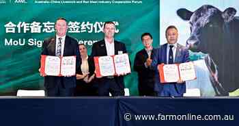 Others take our shelf space in China as efforts on tariff remain unrewarded