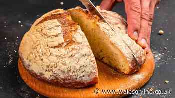 Bread comes out the oven better than sourdough if you use simple recipe with 2 ingredients