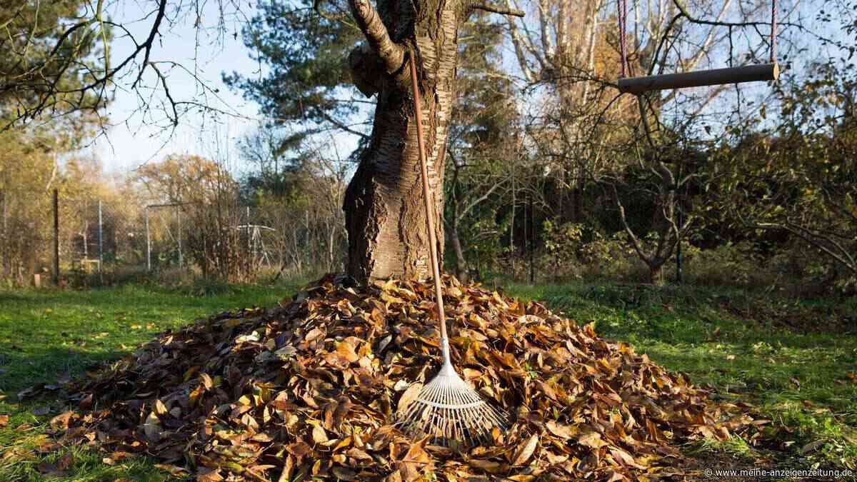 Herbstlaub clever nutzen – so geht’s
