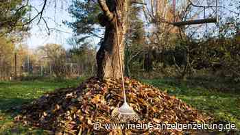 Herbstlaub clever nutzen – so geht’s