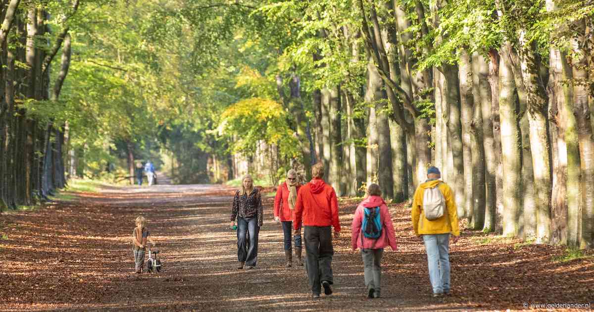 Regen, koude wind, maar tóch soms zon: ‘Warme jas langs de sportvelden geen overbodige luxe’