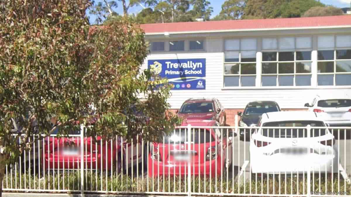 Aussie primary school sparks backlash after it scraps Christmas from student events and renames Secret Santa in inclusivity push