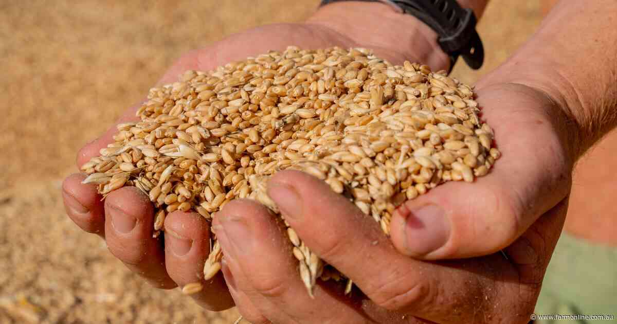 Market lessons: how to protect your grain price with futures contracts