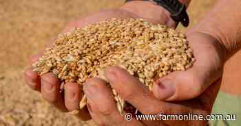 Market lessons: how to protect your grain price with futures contracts