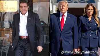 Matchmaker for Trump and Melania removed from envoy role amid feud with State Department, report says