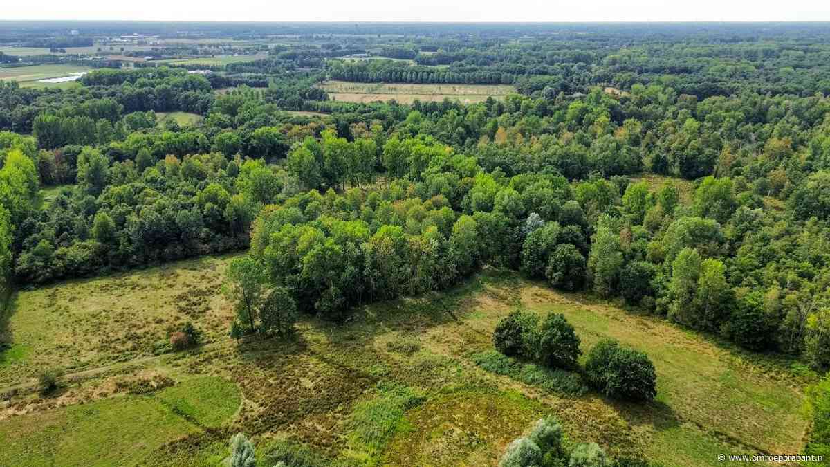 Brabant rekende op miljoenen voor extra bos, maar het geld kwam niet