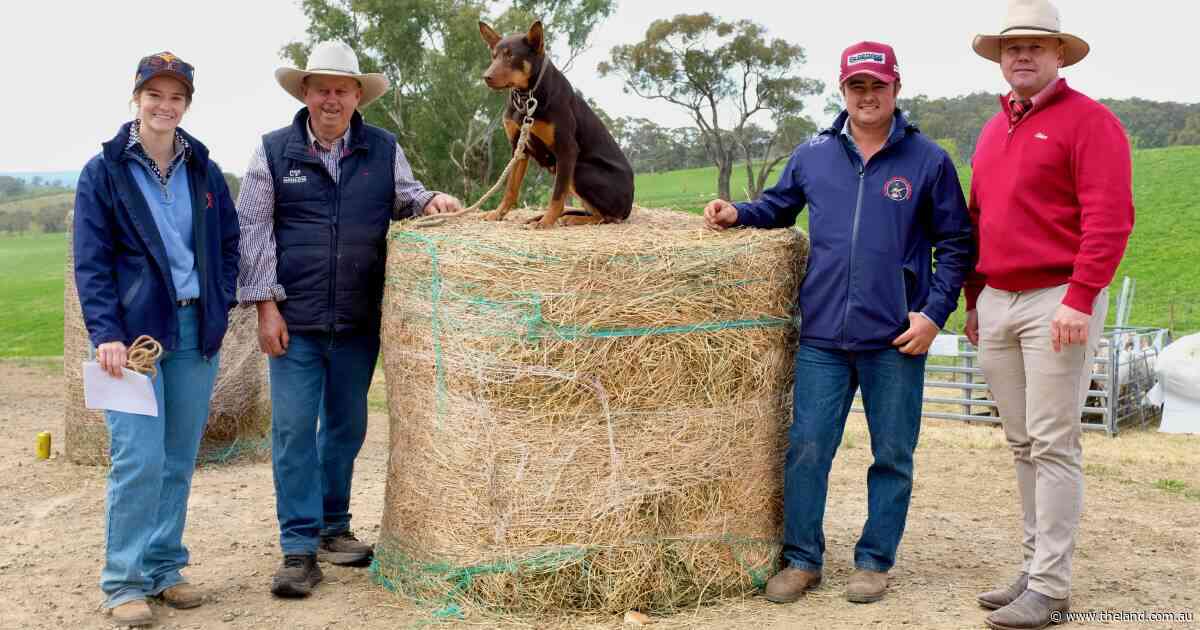 Why bloodline depth makes Capree genetics an industry benchmark