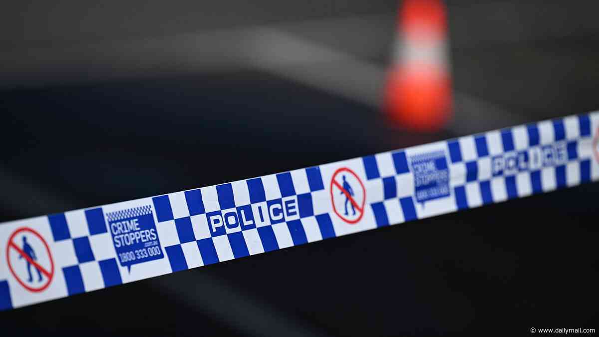 Two dead after light plane crashes into paddock near rural aerodrome