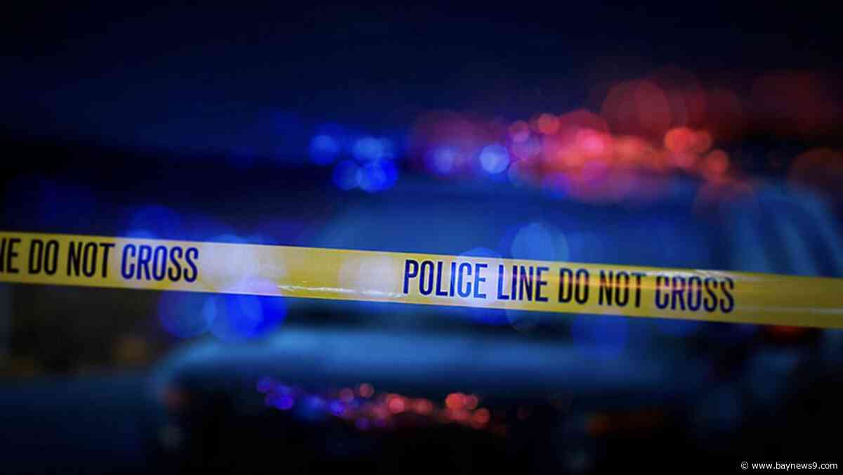 MCSO: 1 dead after helicopter crashes in Myakka City