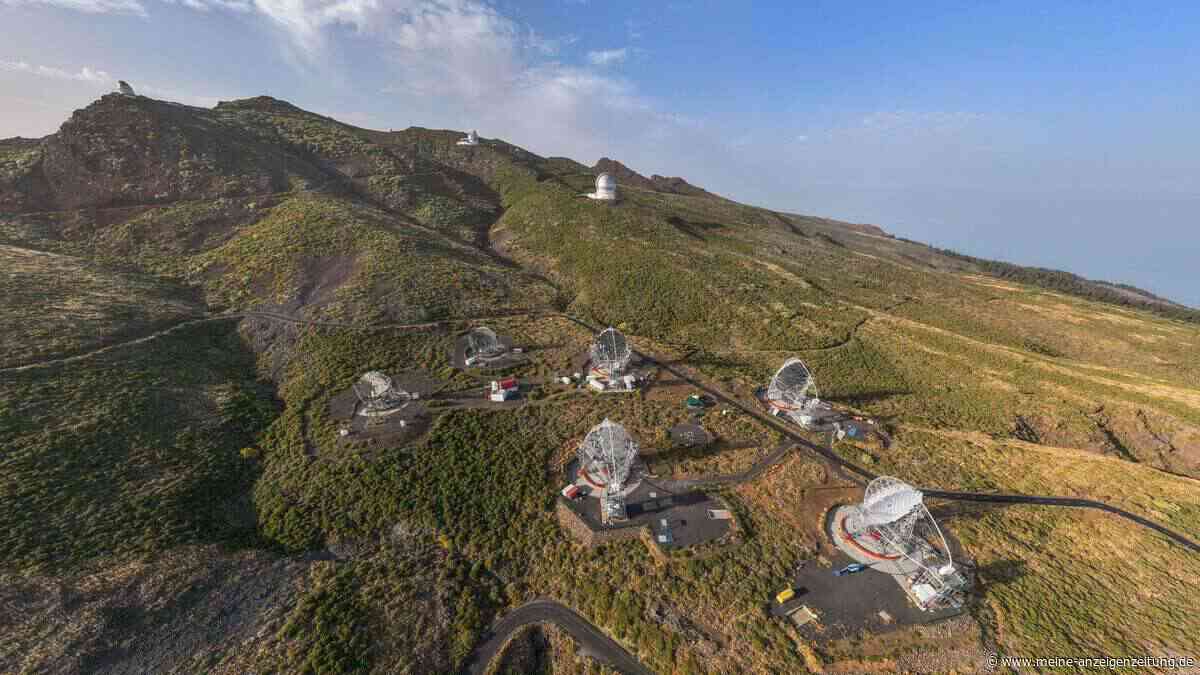 Was vier Riesenspiegel auf der Insel La Palma suchen