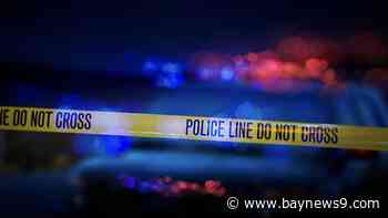 MCSO: 1 dead after helicopter crashes in Myakka City