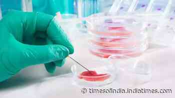 Scientists make cells from an 80-year-old donor appear young, advancing ageing research