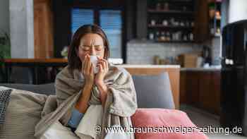 Influenza, Corona und RSV: Experten erklären, worum sie sich diesen Winter Sorgen machen