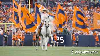 WATCH:  Meet the Denver Broncos’ real-life equine ambassador