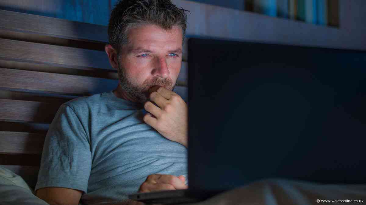 Minister says 'delete it now' as new pornography ban coming in November