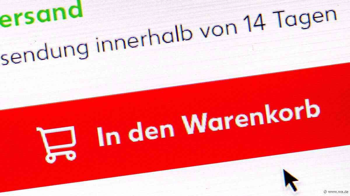 Neue Kreditregeln: Auch Ratenkauf und „Später zahlen“ werden geschützt