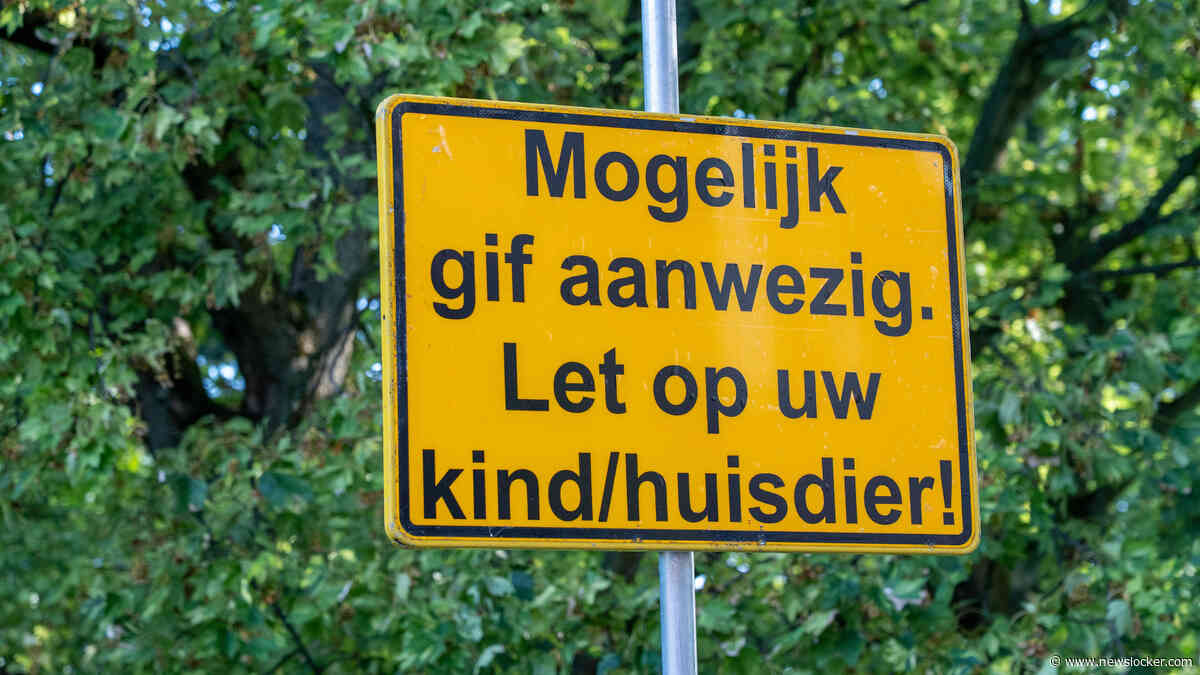 Schiedam zoekt door naar oorzaak: waarom gingen er ineens vier honden dood?