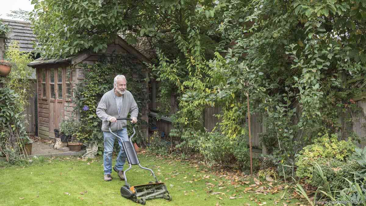Key date to stop mowing your lawn this autumn - different by UK region