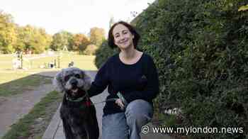 'I've been rescuing dogs in Croydon for 17 years - seeing them rehomed makes up for the dark bits'