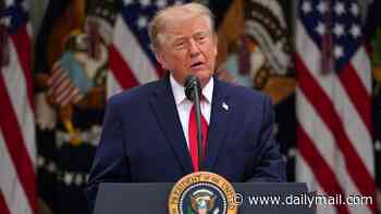Trump calls Ukraine's new attacks on Russian refineries 'a disgrace' and blames them for pushing up global energy prices - after Zelensky condemned US president's 'betrayal'