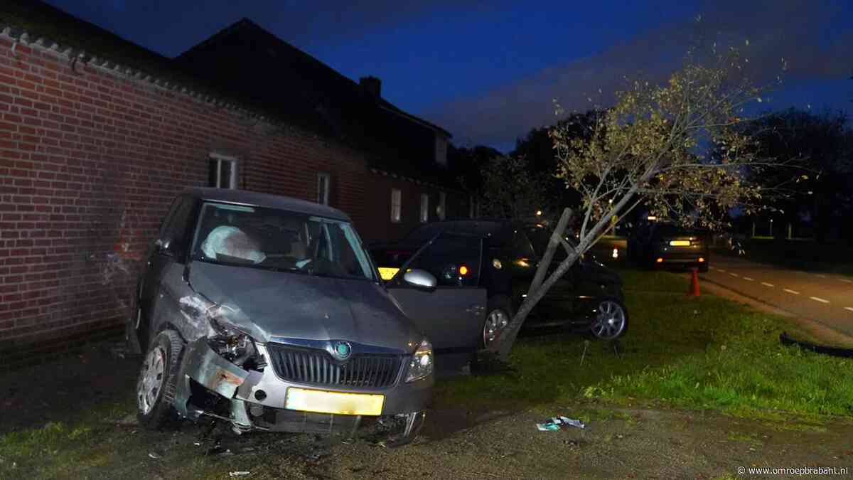Auto ramt schuur, paaltjes en voertuig: bestuurder opgepakt