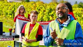 New warning signs posted at Niagara sites where migrant farm workers killed, injured on roads
