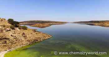 Rare N<sub>2</sub> dimer could let scientists answer questions about global nitrogen cycle