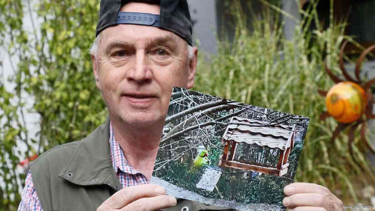 Nach kurioser Papageien-Sichtung in Freising: Neuer Hinweis könnte eine Erklärung liefern