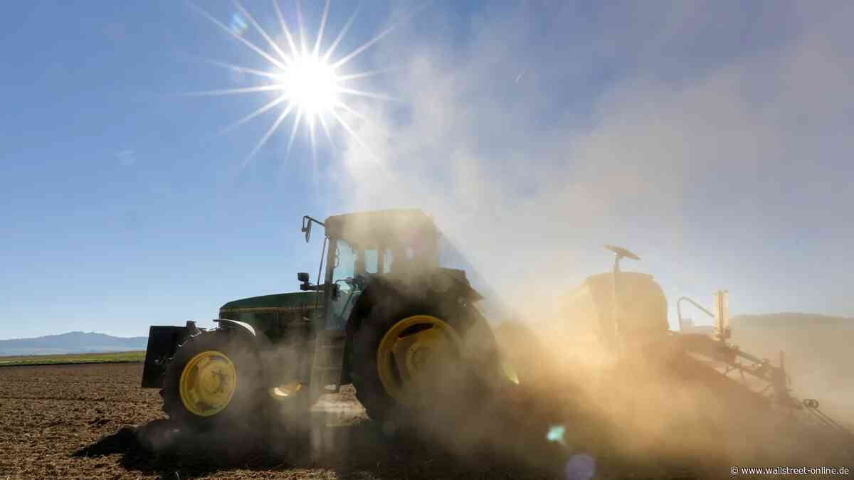 Inflation steigt weiter: Diesel: Die Diesel-Knappheit wird immer offensichtlicher